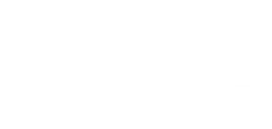 light logo